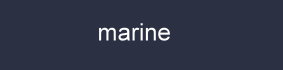 Farbe_marine_cette